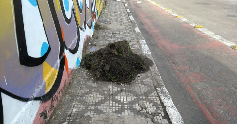 Rua Conceição, Centro, Ubatuba, SP. - Imagem: © Luiz Moura
