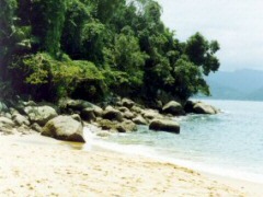 Praia do Cedro (Ponta Grossa)