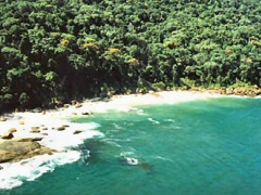 Praia Brava da Itamambuca