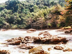 Praia do Cedro