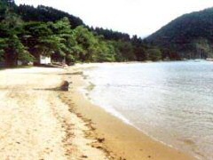 Praia da Ribeira