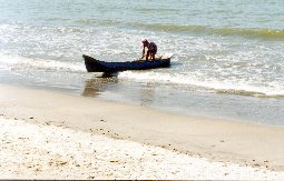 Praia do Itaguá, em Ubatuba - Foto: Pedro Paulo Teixeira Pinto