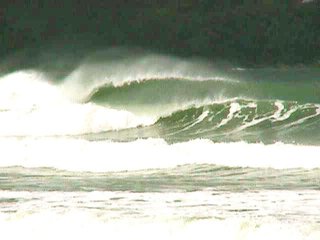 Toninhas - Foto: © Lyfe Azevedo