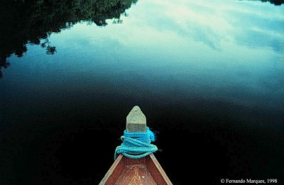 Navegador - Rio Negro - Amazonas - Brasil - Foto: © Fernando Marques