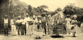 Dança do Boi de Ubatuba - 1951