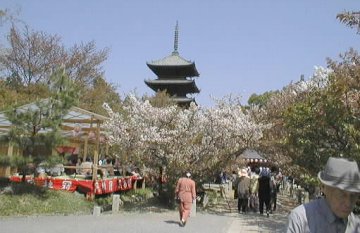 Hanami