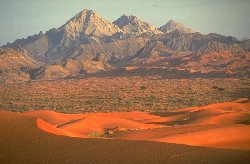 Dubai - Deserto