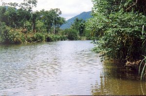 Rio Grande de Ubatuba - Foto: Jaür Carpinetti Filho