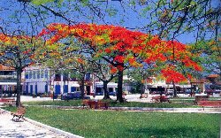 Rua da Praia no Centro Histórico - Foto: Elias André