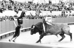 Foto: Fran&ccedil;ois Bruschet